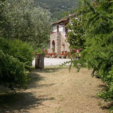Ghezzina 哥尔顿